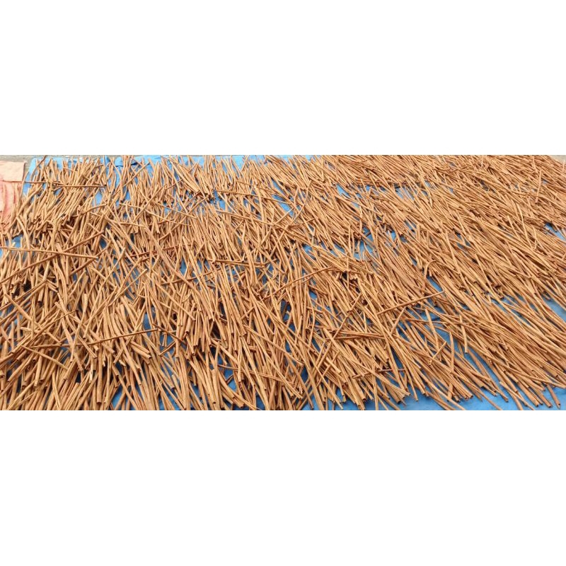 

Kayu Manis Stick sortir