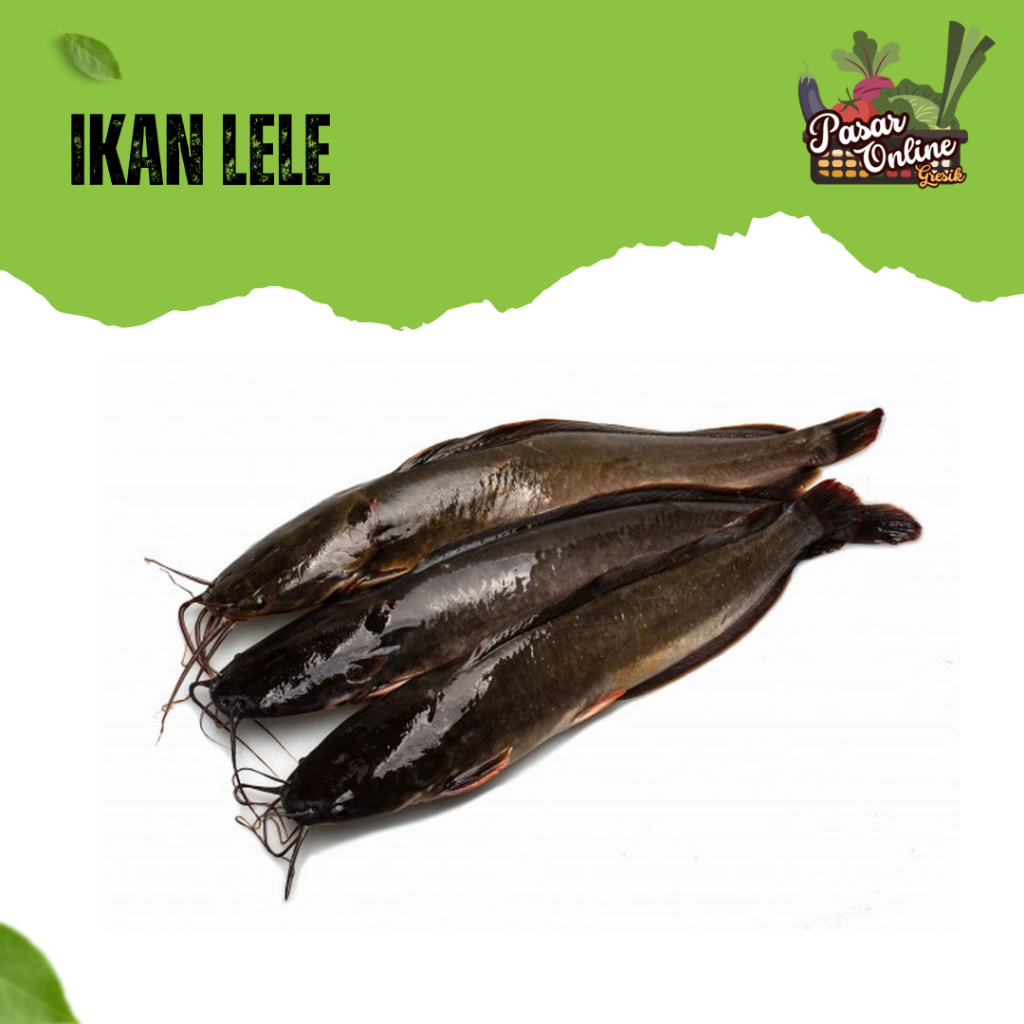 

IKAN LELE FRESH - 500GR