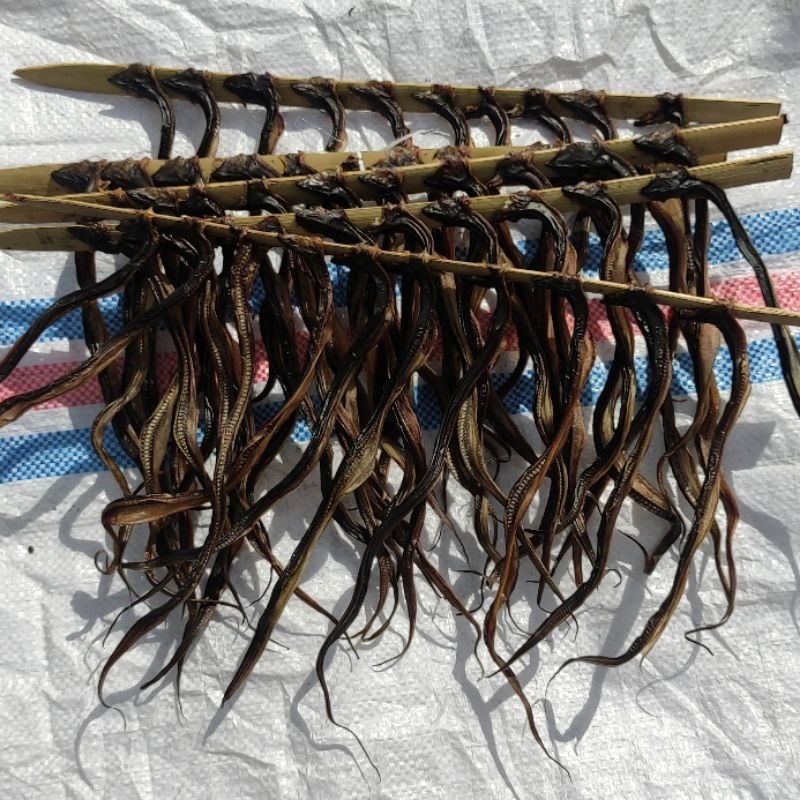 

Belut Kering 100% Belut Lukah/Bubu Sawah Isi 10 Ekor