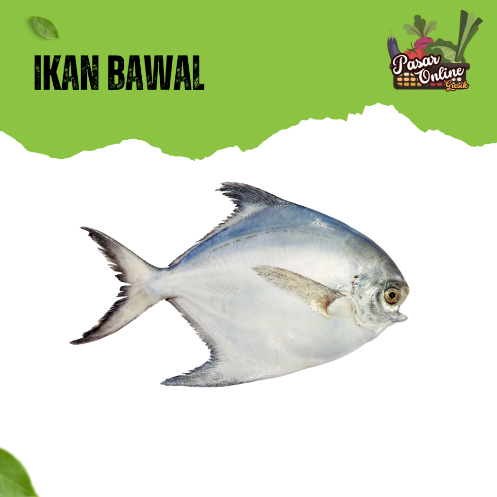 

IKAN BAWAL - 500GR