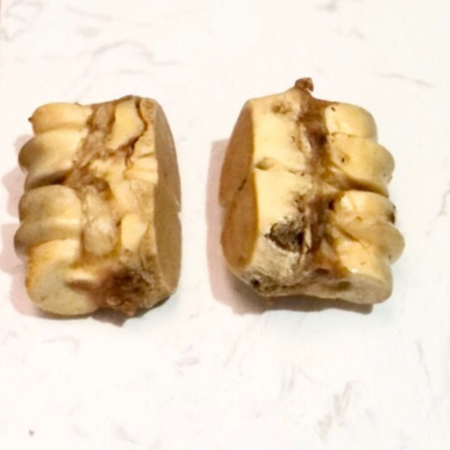 Dehydrated Beef Feet Bone Medium Size Dog Chews Tulang Premium Dried Tulang Bonggol Kaki Sapi 1 Pcs