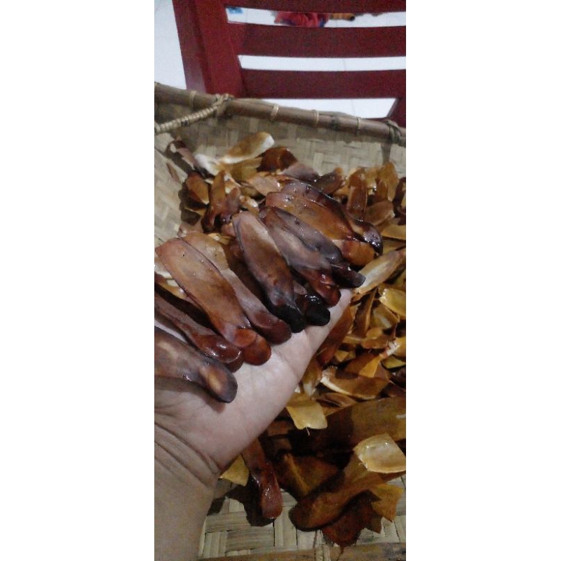 

BIJI MAHONI 3 BIJI / 3 BUAH