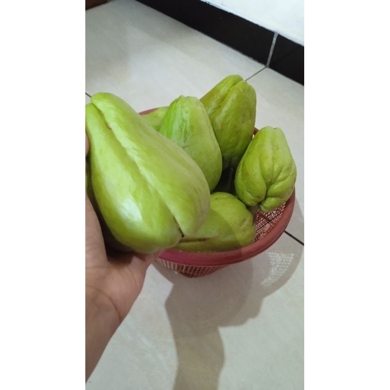 

Labu Siam / Jipang 1 kg