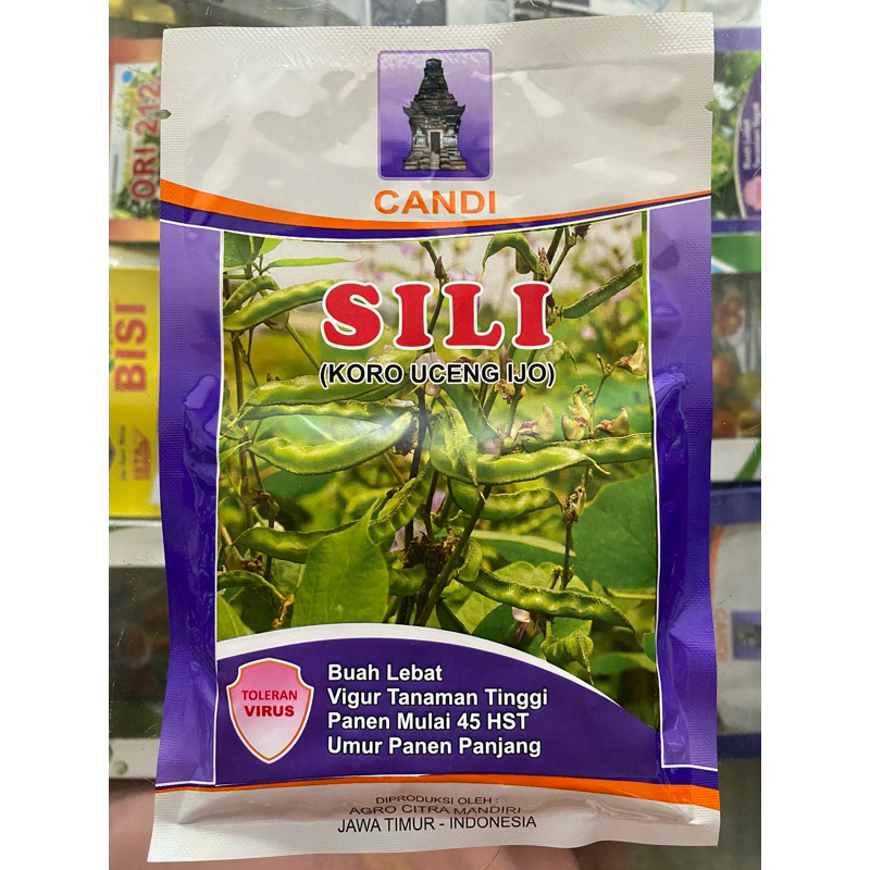 SILI Benih Koro Uceng Ijo CANDI