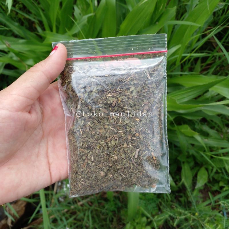

daun mint peppermint kering