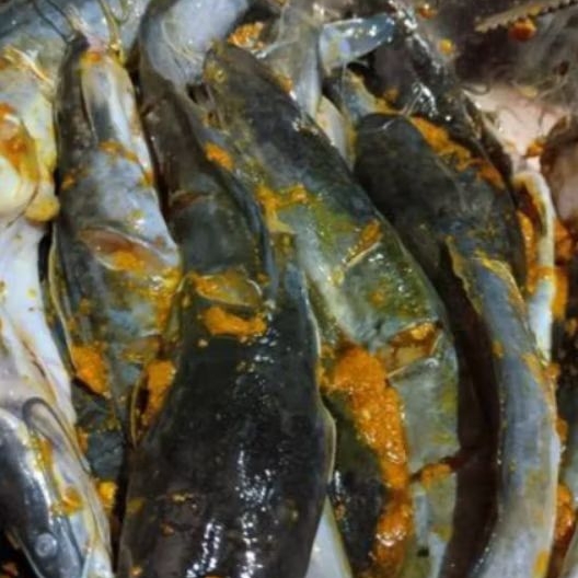 

TERMURAH !! IKAN LELE marinasi 500 gram