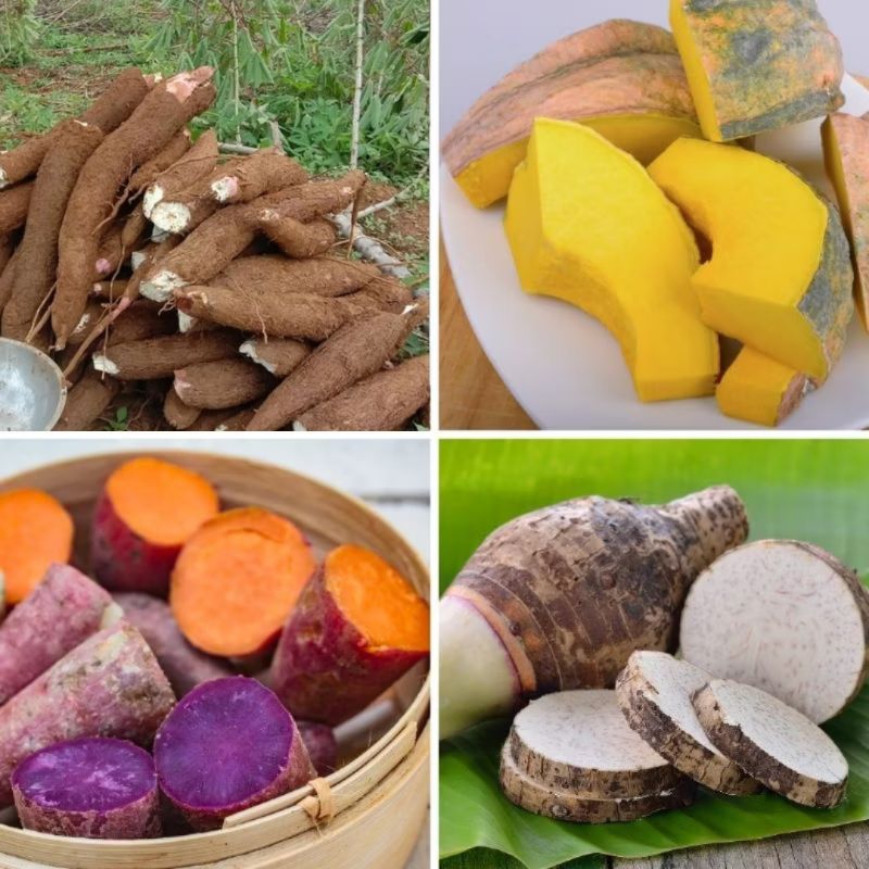 

Labu kuning, Ubi jalar ungu, Keladi, Talas, Ubi kayu, Singkong parut, Pasar pagi instant pekanbaru