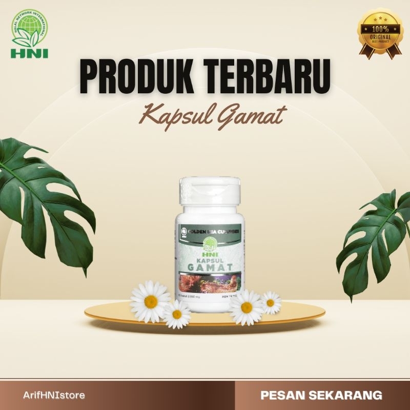 HNI Kapsul Gamat 100% Original HNI