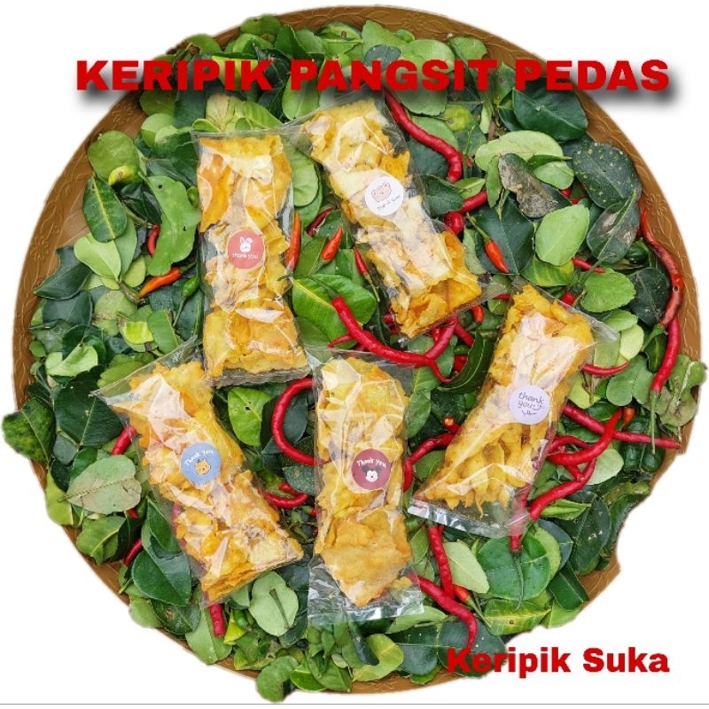 

[PAKET BERBAGI] KERIPIK PANGSIT PEDAS (isi 5 bungkus)