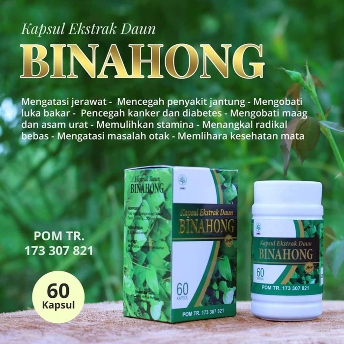 Kapsul Daun Binahong Isi 60 kapsul Mengatasi Penyakit: - Mempercepat pemulihan patah tulang ASLI