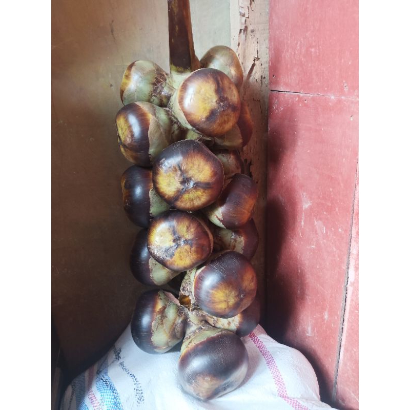 

paket (7 buah utuh) lontar segar fresh