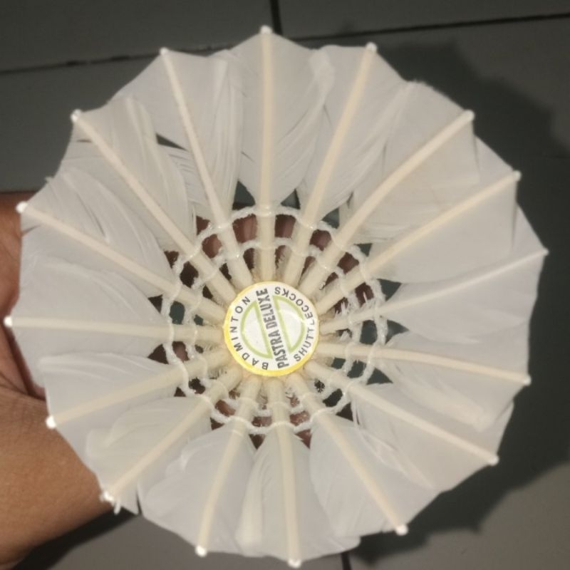 Shuttlecock Drilling Cock Badminton Bulutangkis Kok Bekas Second 95% Pastra Nine Jp Gold Garuda dll