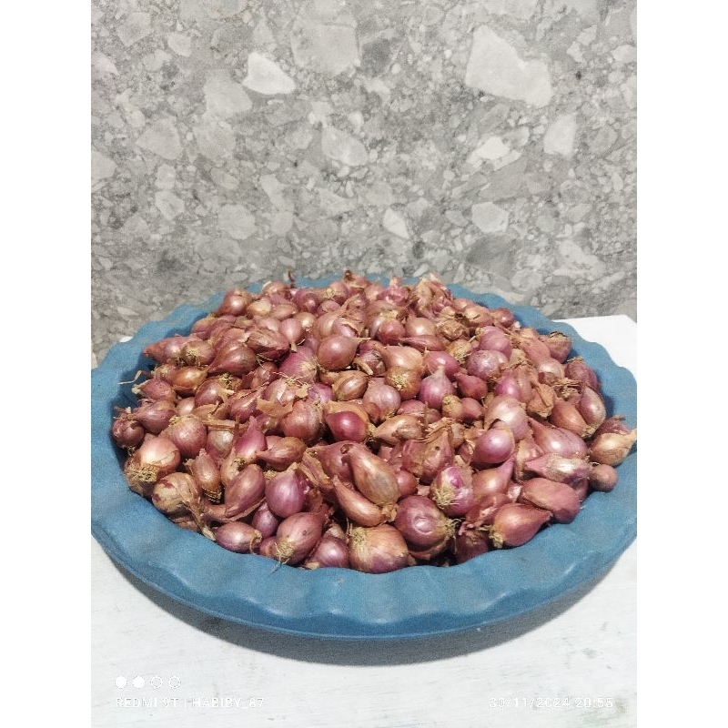 

Bawang Merah Kering jenis Philipines