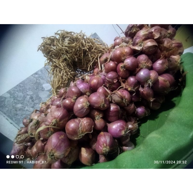 

Bawang Merah Philipines Kering Ombyok
