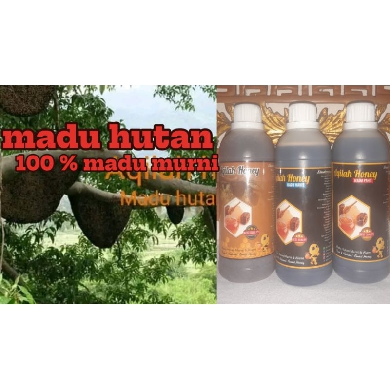 

madu hutan sialang sumatra selatan asli 640gr madu hutan sialang asli madu murah madu hutan sumatra madu murni