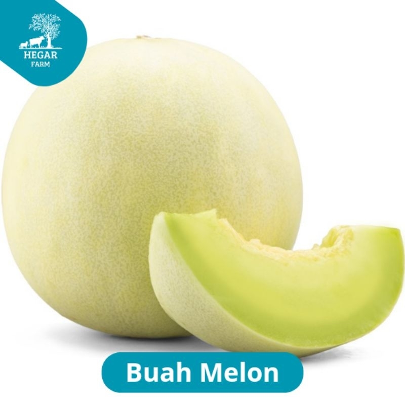 

Melon