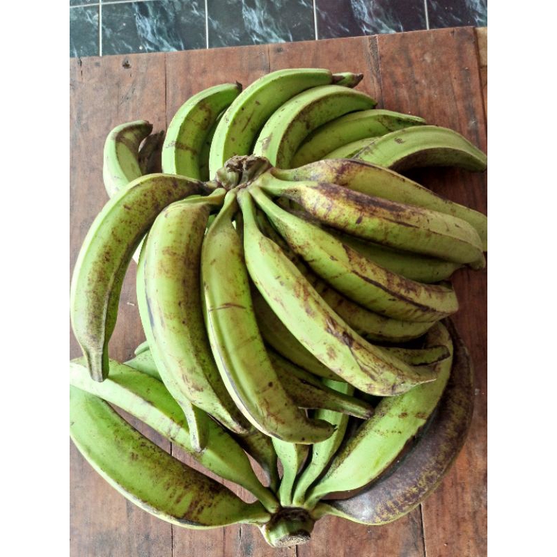 

Pisang tanduk jumbo segar kualitas super