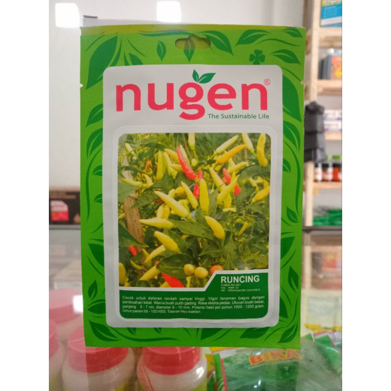 Benih cabai rawit RUNCING 10gr Nugen