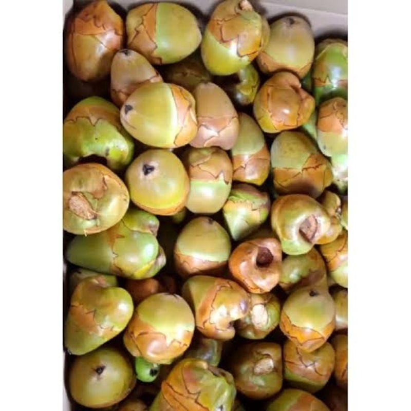 

bluluk kelapa /cengkir per 5 biji