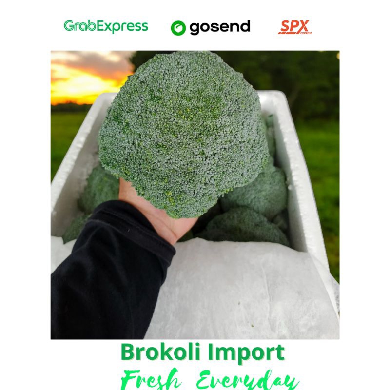 

Brokoli Import Perkilo