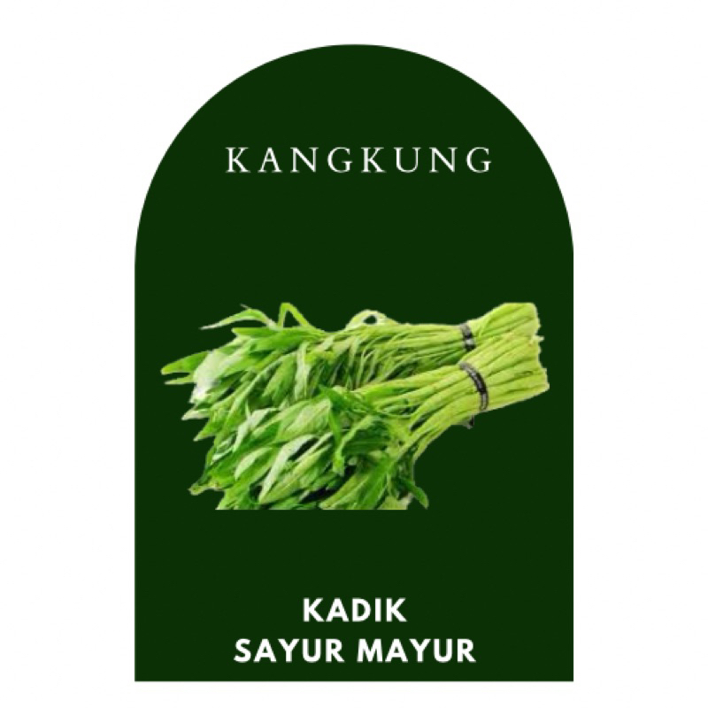 

KIRIM INSTANT KANGKUNG SEGAR BANTUL JOGJA