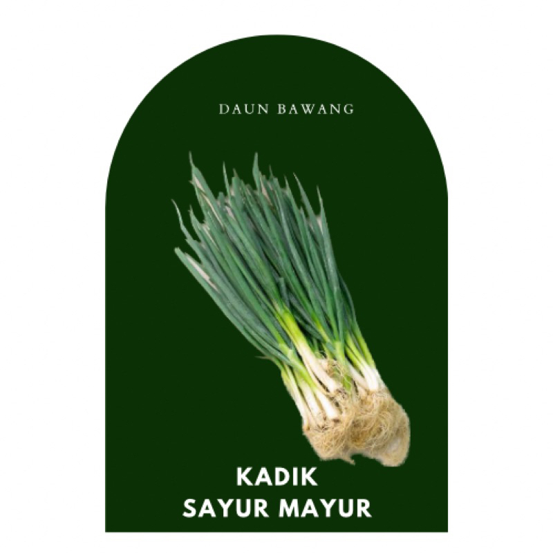

KIRIM INSTANT DAUN BAWAN SEGAR BANTUL JOGJA