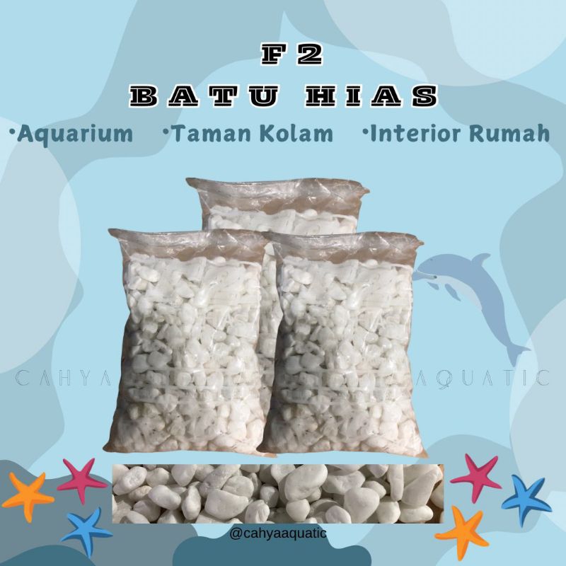 Cahya Batu Hias F2