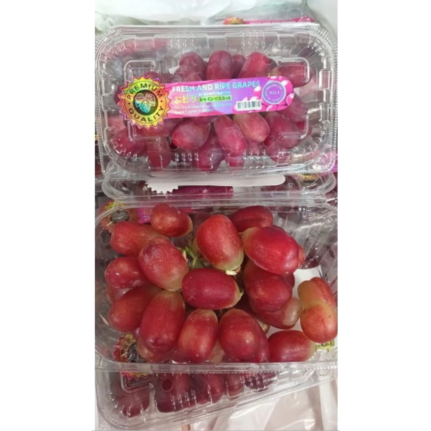 

ANGGUR RED MUSCAT (PACK)