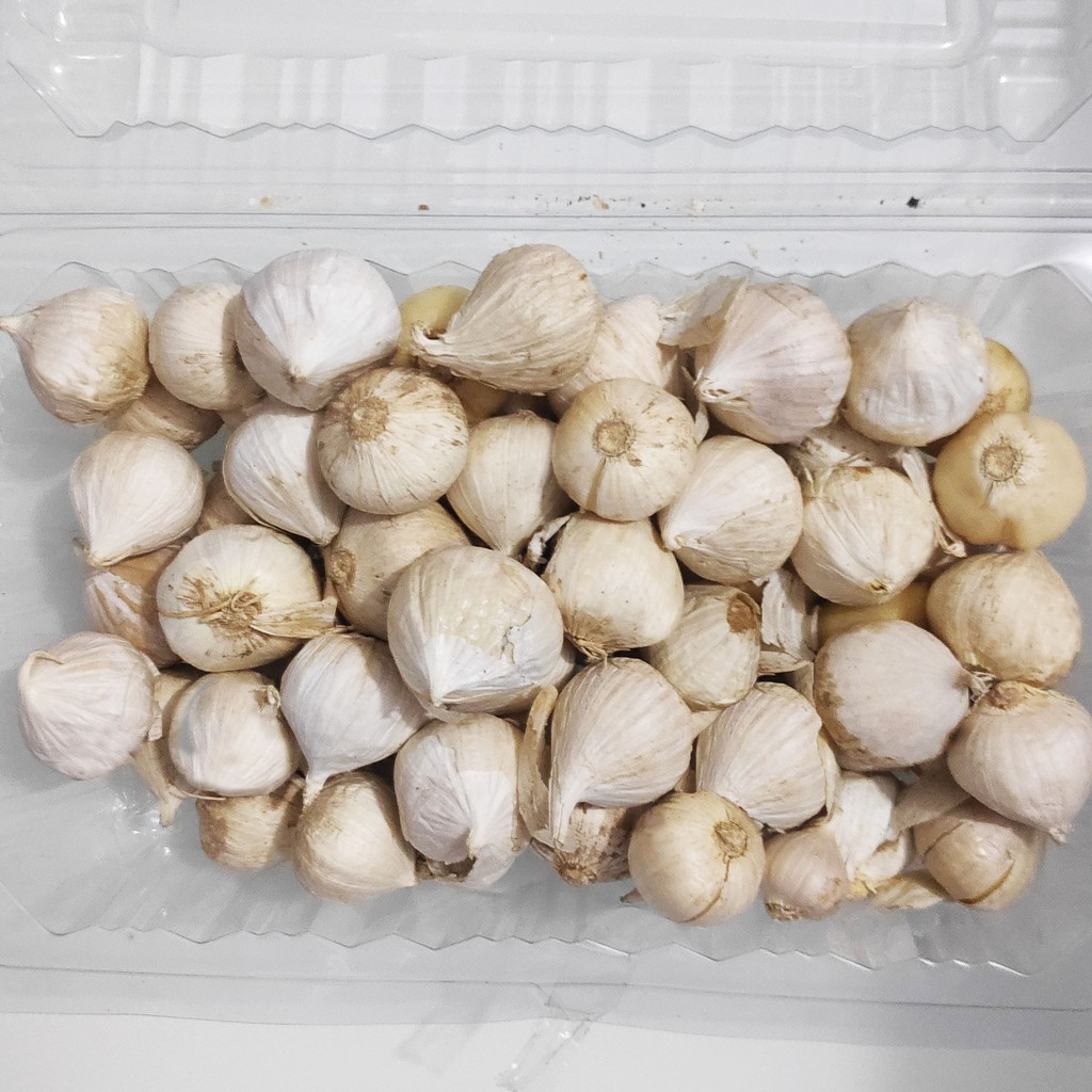 

Bawang Putih Tunggal 1KG