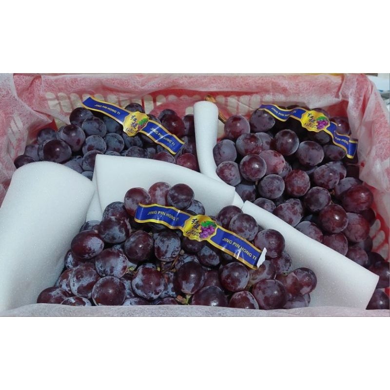 

ALID BUAH - 1 Kg ANGGUR MERAH PREMIUM