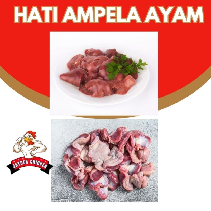 

Hati Ampela Ayam Ukuran 1 kg