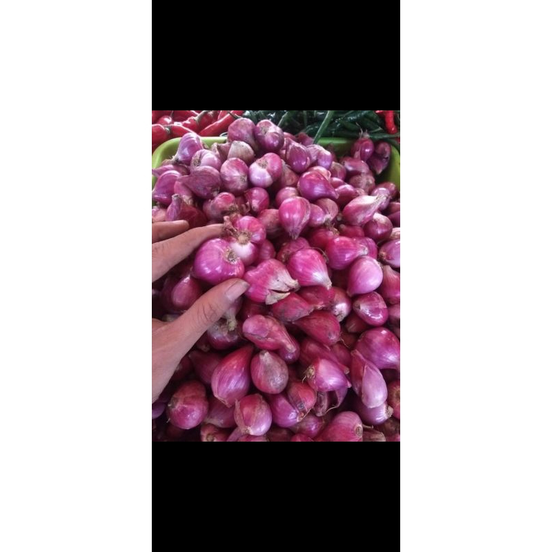 

Bawang Merah 1kg Murah