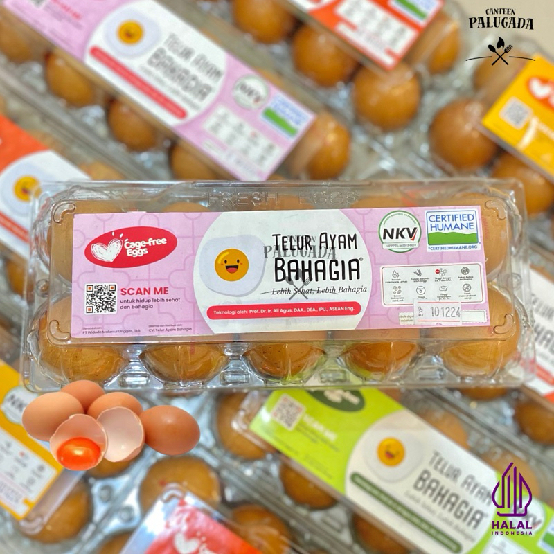 

Telur Ayam Omega Bahagia | Telur Omega Isi 10 Butir
