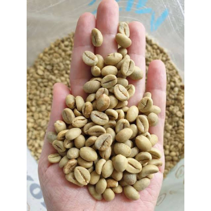 

Biji kupi robusta asli lansung dari kebun nya 1 kg