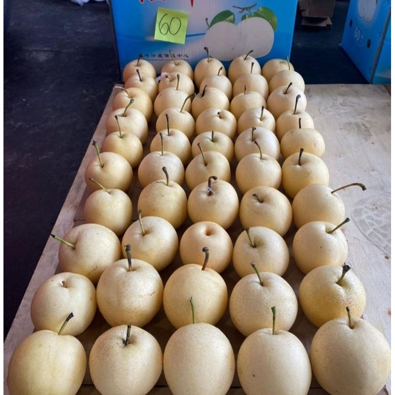 

pir century/buah pir century 1kg
