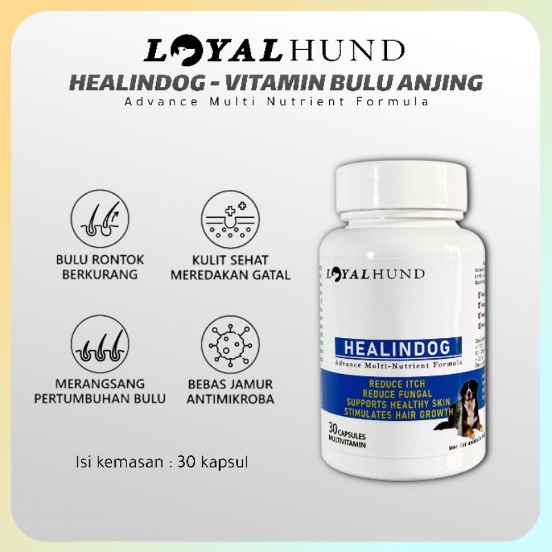 HEALINDOG VITAMIN ANJING BULU RONTOK OBAT BULU ANJING LEBAT SUPLEMEN PENUMBUH BULU ANJING
