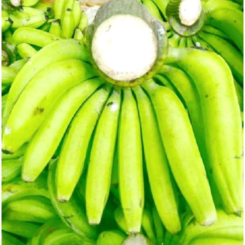 

Buah Pisang Ambon 1 sisir