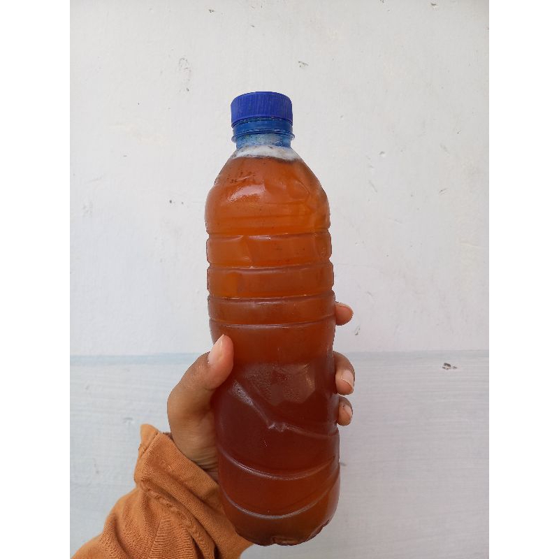 

Madu Hutan Liar Sumbawa 100 % Madu Murni