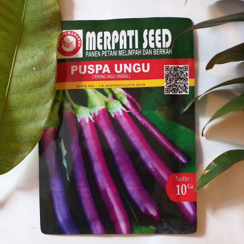 benih terong ungu unggul panjang besar 10 gram