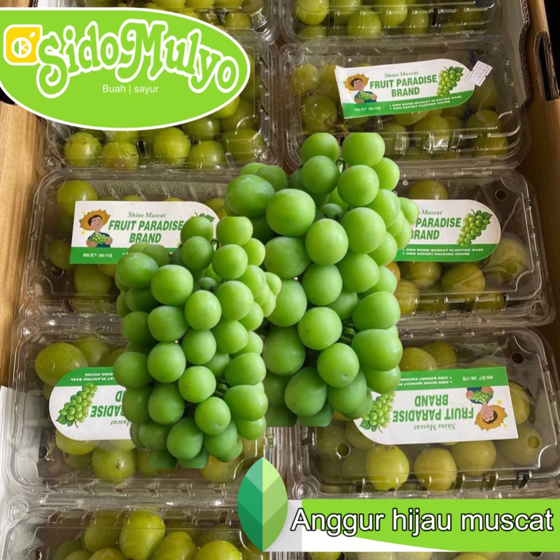 

buah anggur hijau Muscat seedles 1 box | ud.sidomulyo fresh