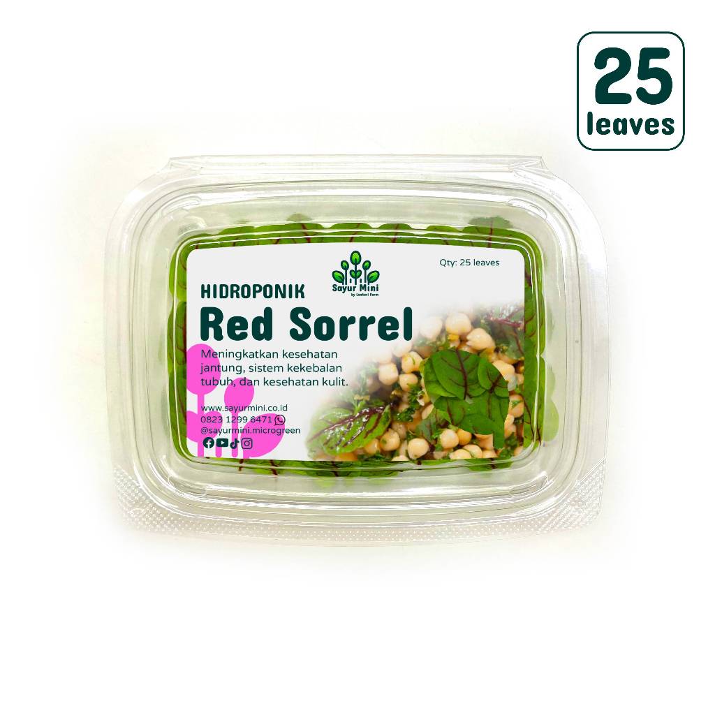 

SAYUR MINI Hidroponik Daun Red Sorrel 25 pcs - Fresh Cut - Red Sorrel Leaf - Hydroponics