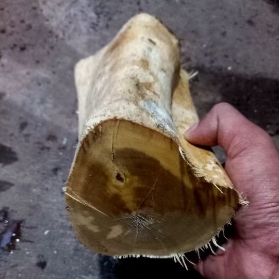 bahan kayu galih kemuning gading