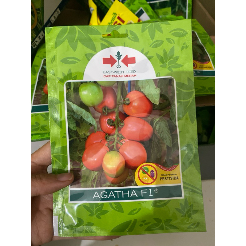 Benih Bibit Tomat Buah Super Besar AGATHA F1 150 Biji Cap Panah Merah
