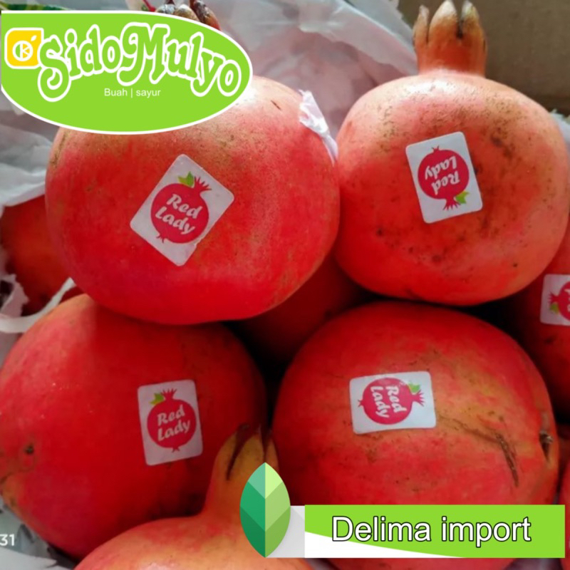 

Buah Delima Merah import fresh manis | ud sidomulyo fresh