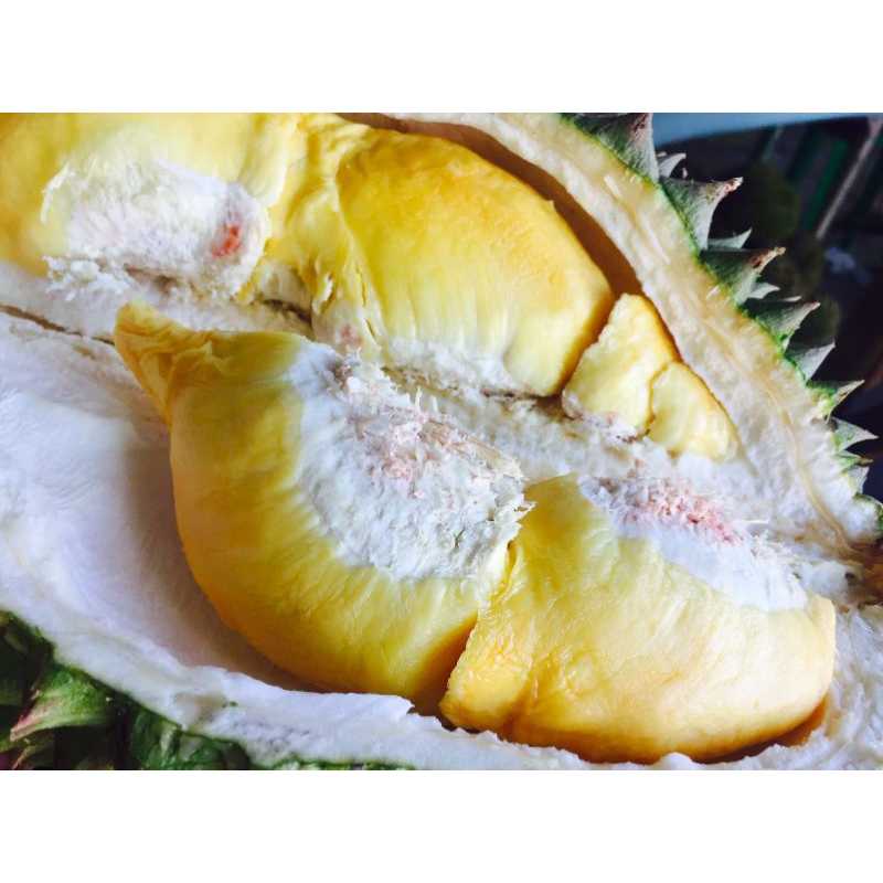 

[ DURIAN MONTONG ] 500gram