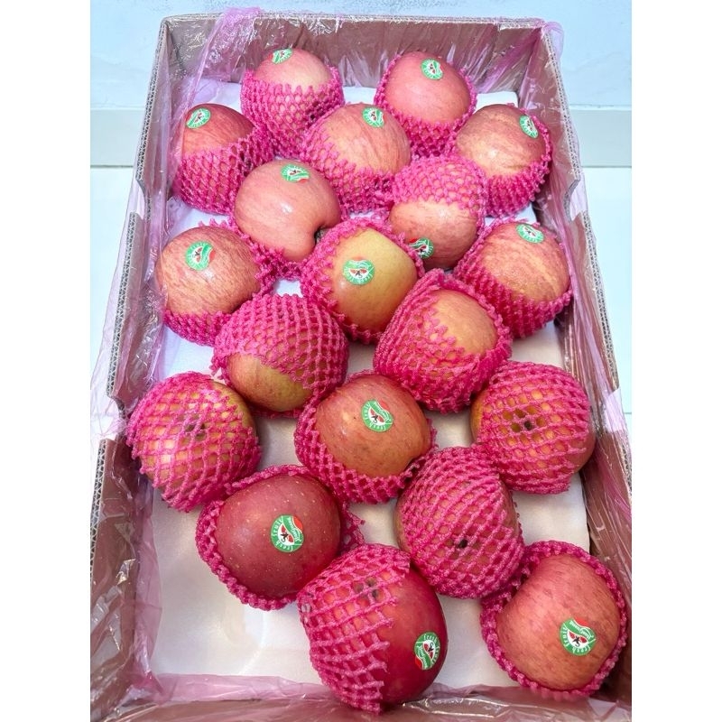 

Apel Fuji IMPORT SEGAR dan Berkualitas 500 - 1000 gram