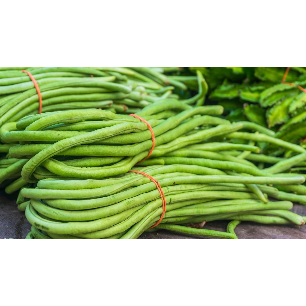 

Sayuran Kacang Panjang Segar