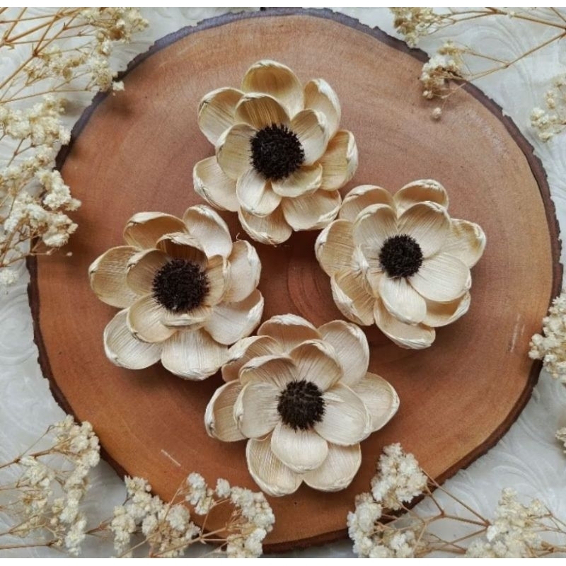 BUNGA KLOBOT JAGUNG / BUNGA KERING / BUNGA KLOBOT / BUNGA HIASAN MAHAR