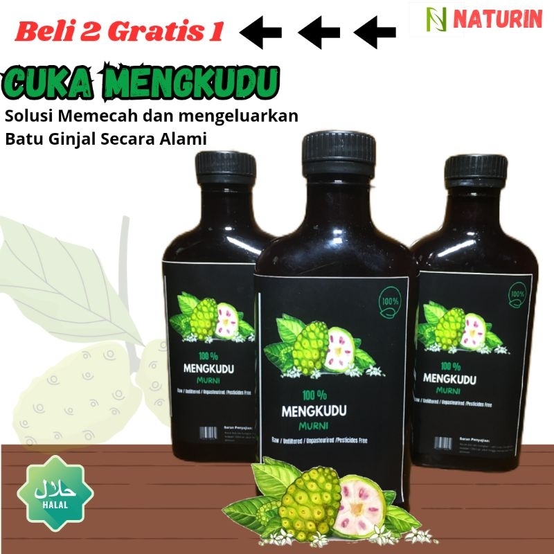 

Cuka Mengkudu Noni Asli Atasi Batu Ginjal dan Kolesterol
