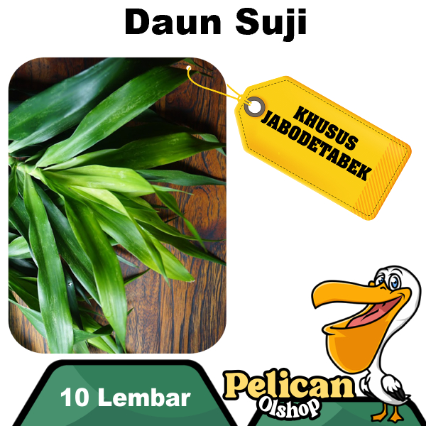 

Daun Suji Segar 10 Lembar Pewarna Alami Hijau Makanan Obat Herbal